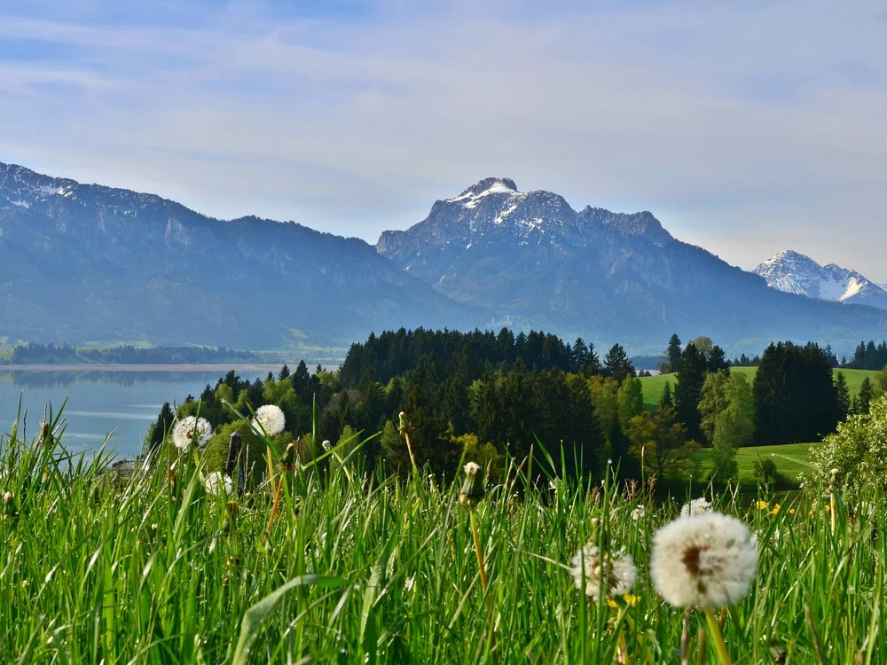Das etwas andere Füssen – im Filser